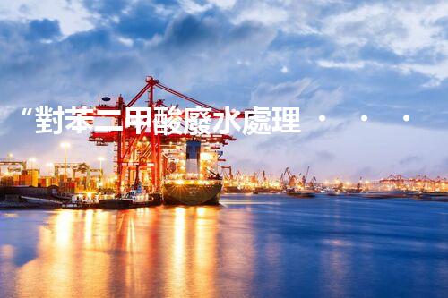 “對苯二甲酸廢水處理，綠色創(chuàng)新引領環(huán)保新篇章”